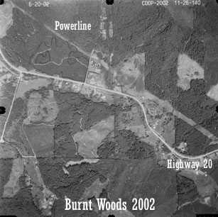Aerial view of Starker Forests land near Burnt Woods, 2002